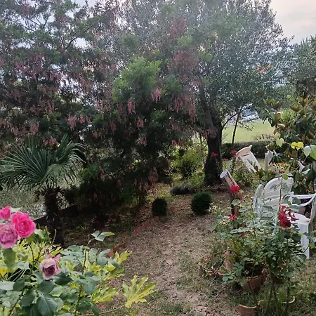 Bojana Rab Apartmán Supetarska Draga