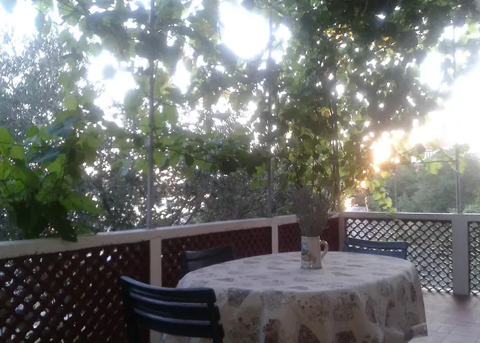 Bojana Rab