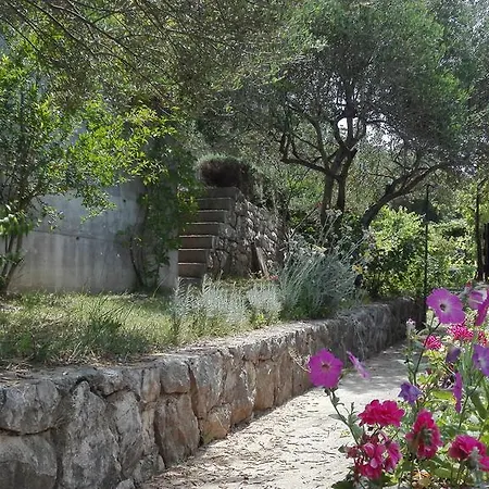 Apartment Bojana Rab *